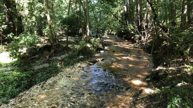 Stream at Warwick Road