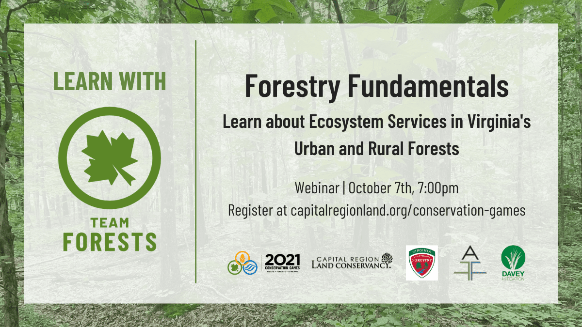 Graphic with details for the Team Forests Forestry Fundamentals webinar