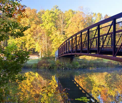 View of bridge over steeam at Pocahontas State Park.