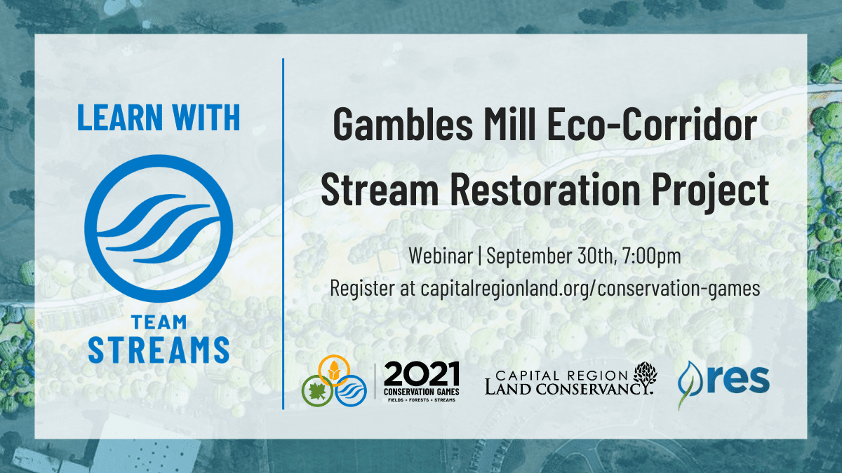 Graphic with details for the Team Streams webinar on the Gamle's Mill eco-corridor