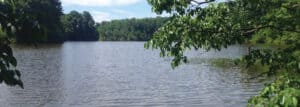 Lake at Brown and Williamson