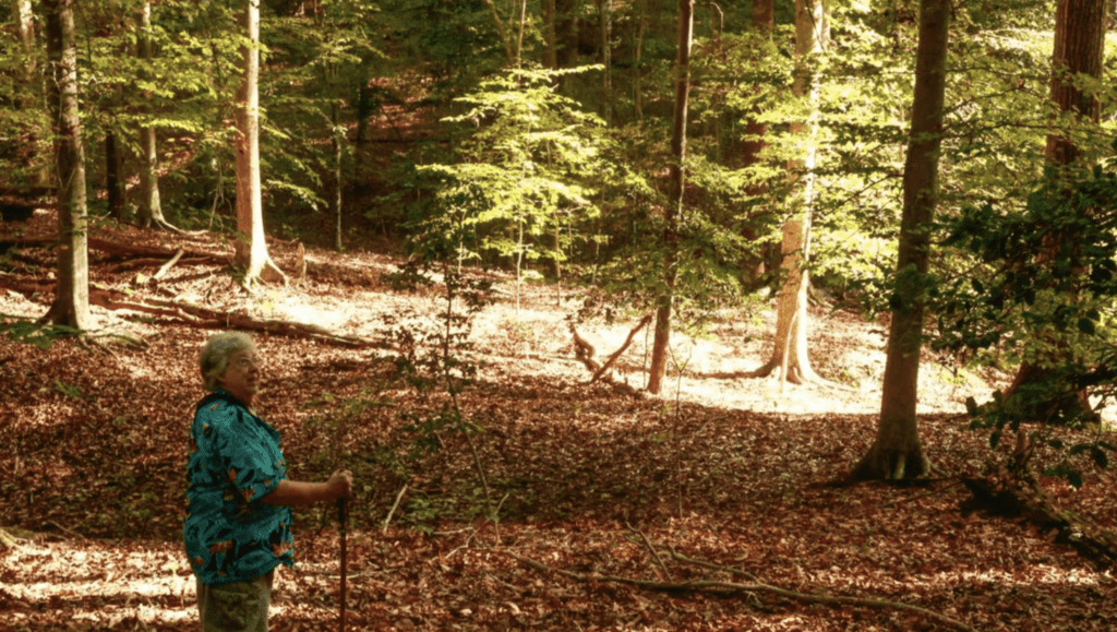 Woman (Catharine Tucker) standing in clearing in woods.