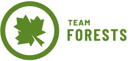 Team Forests