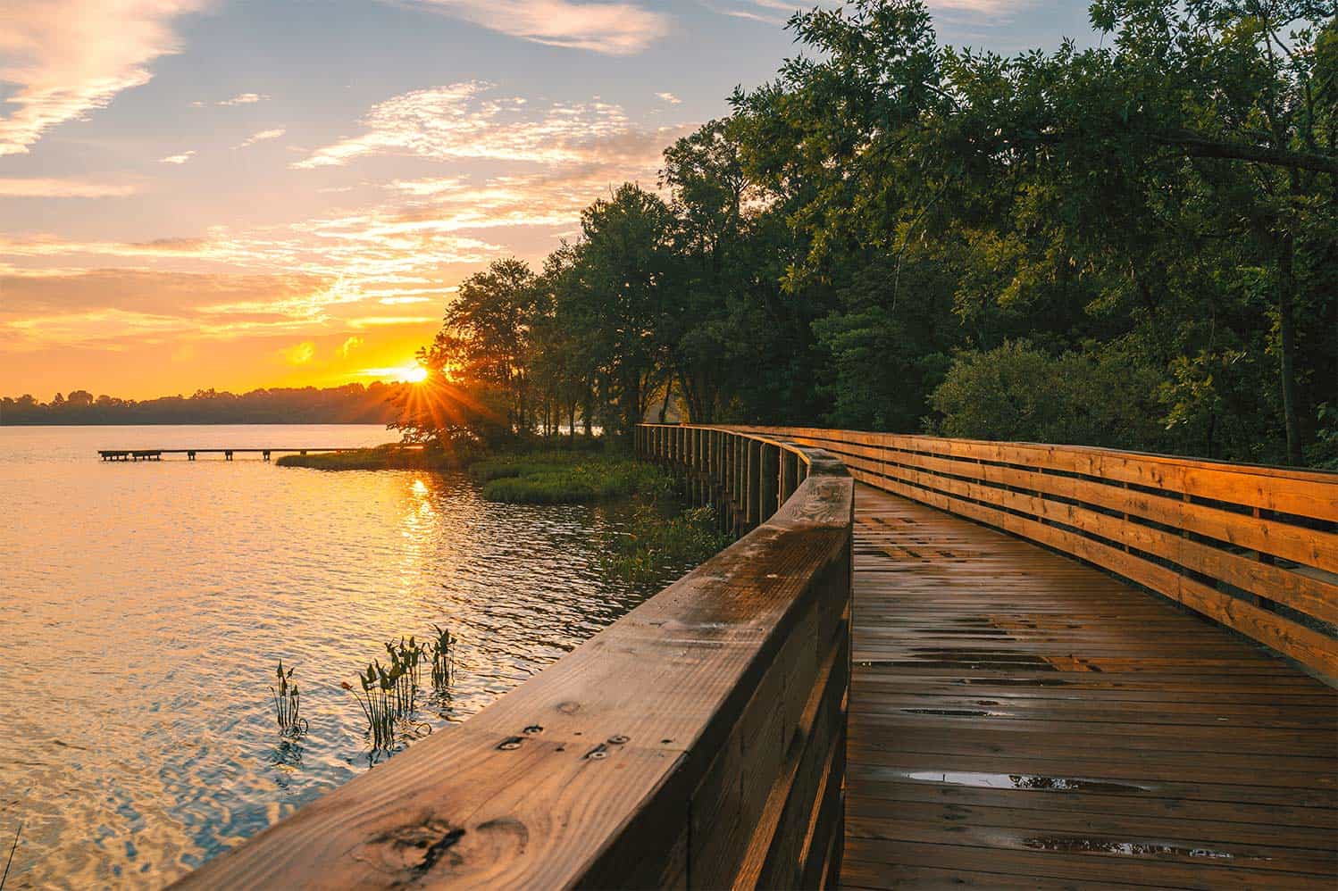 The Hopewell Riverwalk has opened up the scenic Appomattox River to more access. Photo by Daniel Jones, courtesy of Virginia Tourism Corporation. CRLC and our partners are building coastal resilience through land conservation.