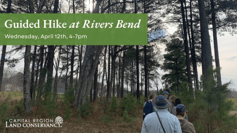 Rivers Bend Guided Hike titled promotional graphic with picture of hikers approaching pine tree stand at last year's hike.