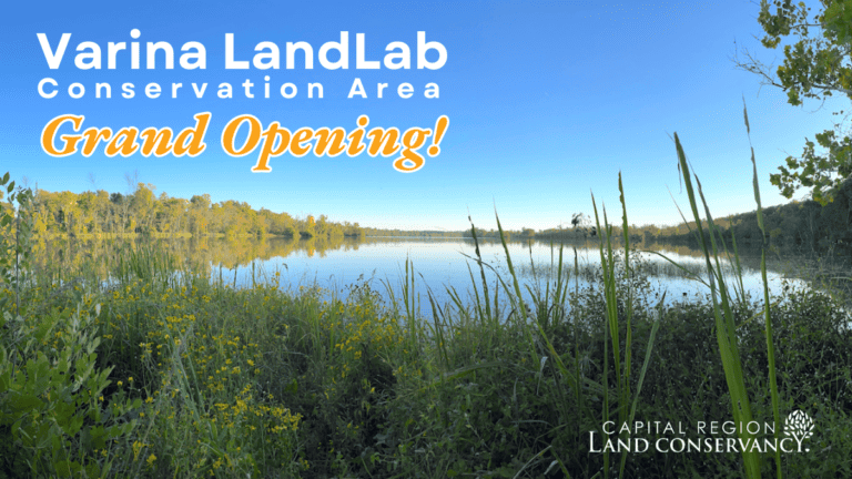 Varina LandLab Grand Opening