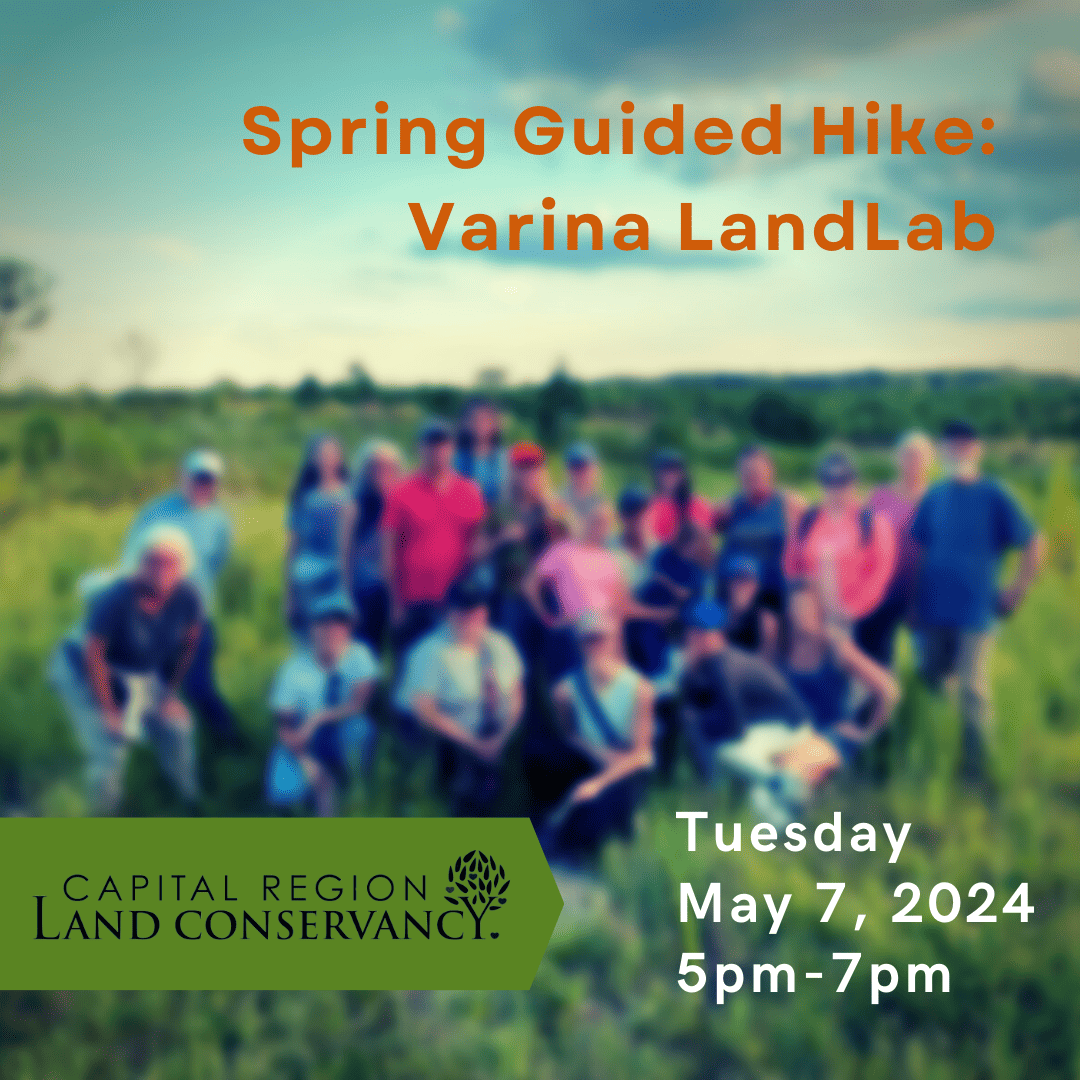 Graphic reading Spring Guided HIkes: Varina Land Lab