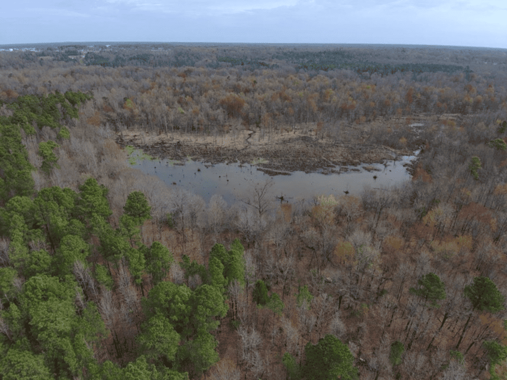 Drone view of Chickahominy River surrounded by wetlands and forests.