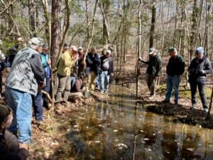 Hikers on a CRLC guided hike stand around a vernal pool located on the Atkins Acres land