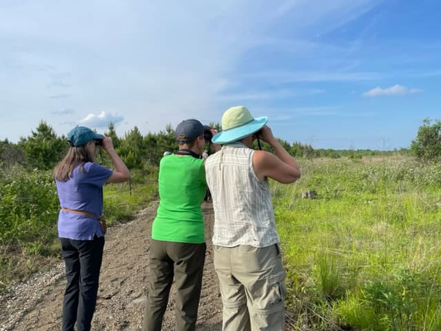 Three women standing in an open field birdwatching, looking through binoculars