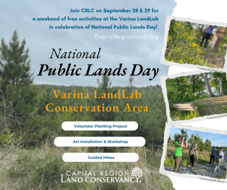 Graphic for National Public Lands Day featuring collage of outdoor photographs and people enjoying outdoor activities