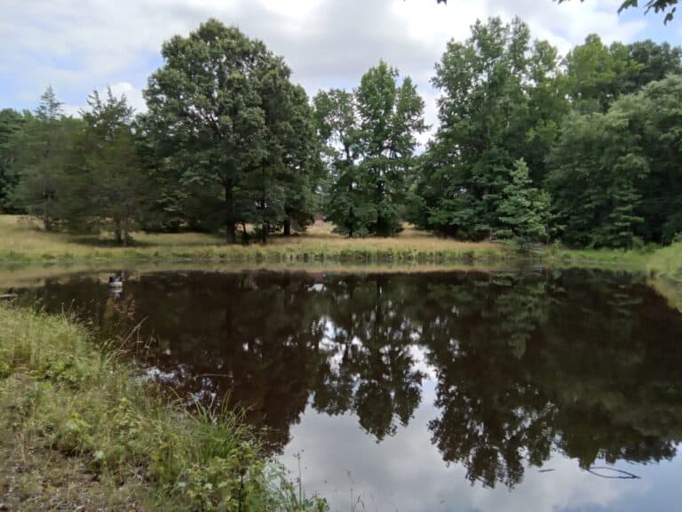 Cedar Creek Farm Pond in Powhatan, Virginia