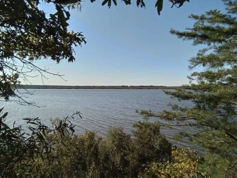 View of the Pamukey River from Eltham Farm in New Kent County, VA