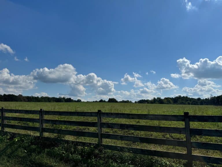 Fence in foreground along Hickory Bottom Farm, Hanover, Virginia