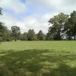 Green expanse of land at Robertson's property known as "The Cottage: