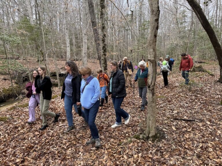 Group of hikers walk along stream at Atkins Acres