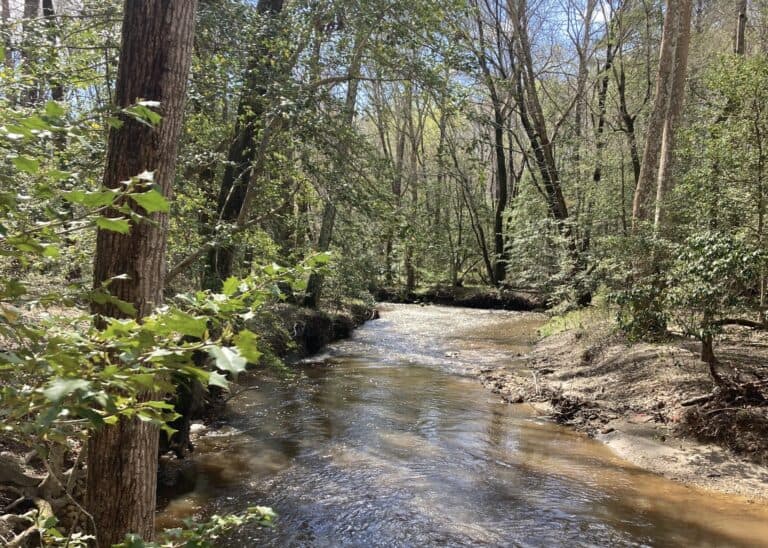 Creek at Four Mile Creek Farm