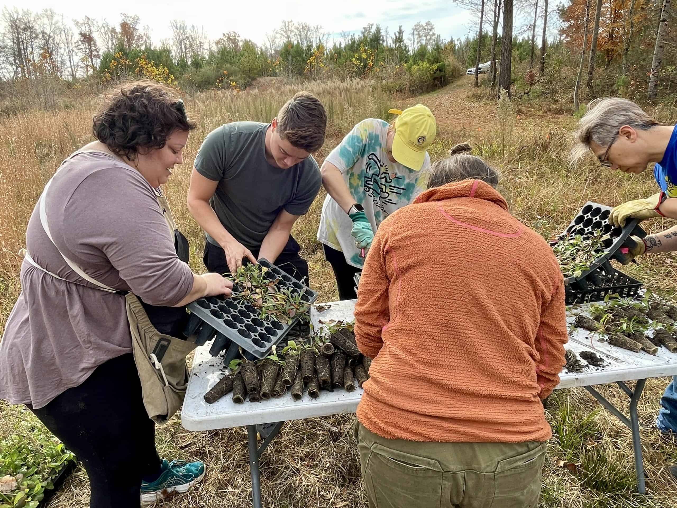 Volunteers prep plants at Varina LandLab