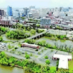 Screenshot of RTD article featuring image of Mayo's Island