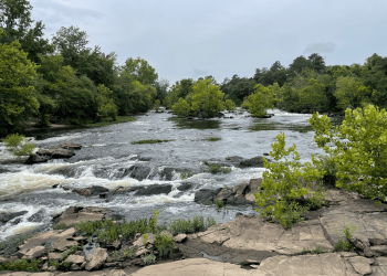 CampbellsBridgeMill_5100