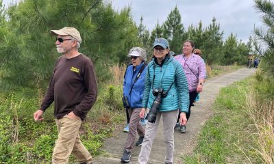Group of hikers walk past the camera