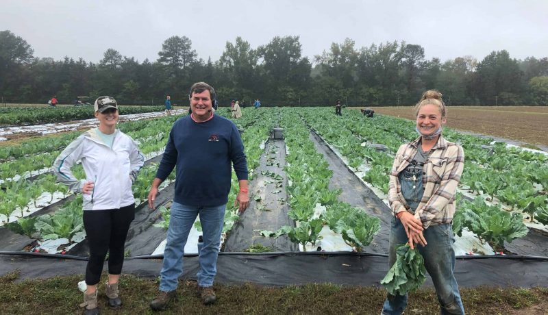 Volunteers weed and harvest at Shalom Farms as part of the 2020 Conservation Games.