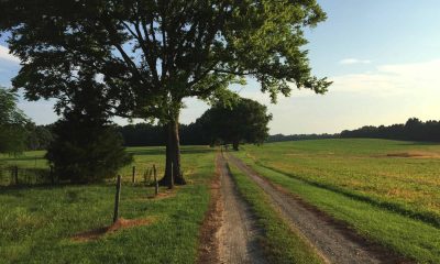 CRLC transferred 370 acres at Malvern Hill the National Park Service.